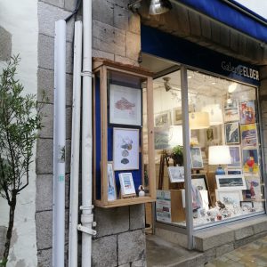 Vitrine Galerie